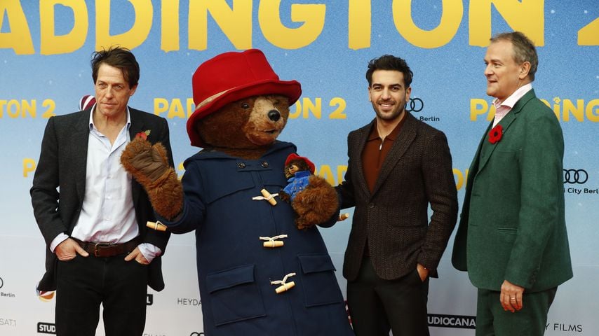 "Paddington 2": 3 Gründe für den Kino-Erfolg des Kult-Bären