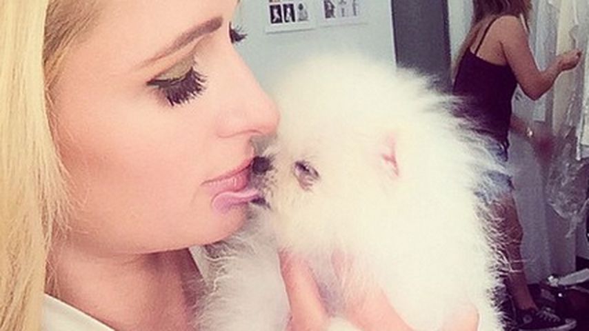 Paris Hilton