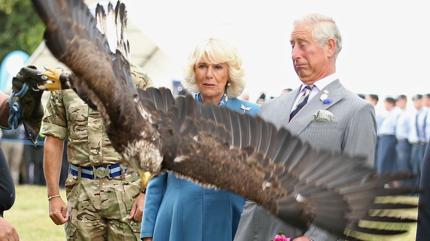 Prinz Charles und Camilla Parker Bowles