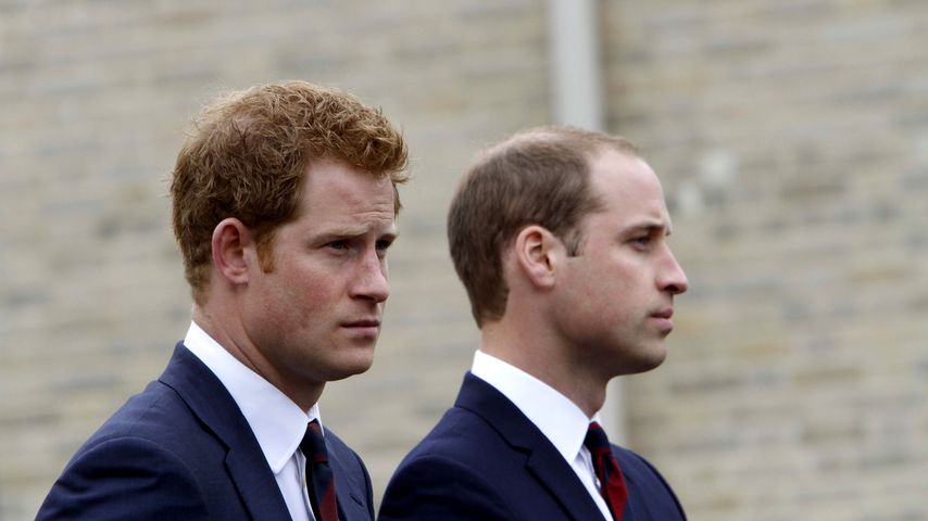 William & Harry bedauern letztes Gespräch mit Mama Diana