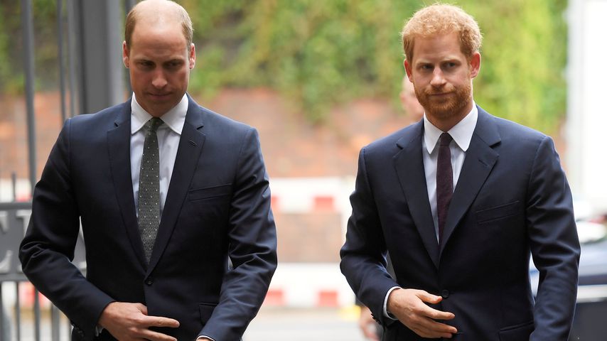 Prinz William und Prinz Harry 2017 in London