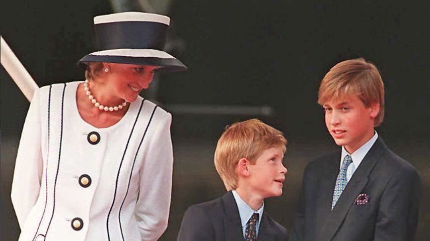 Prinzessin Diana, Prinz Harry und Prinz William