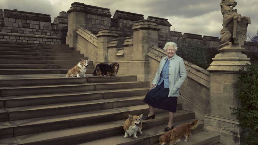 Queen Elizabeth II. mit ihren Hunden
