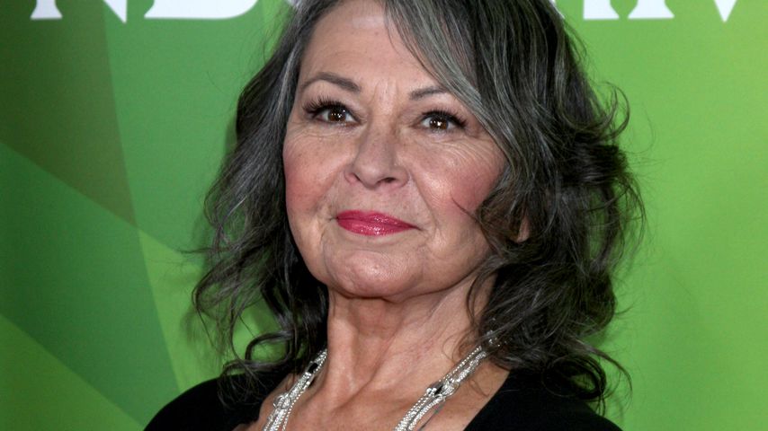 Roseanne Barr, Schauspielerin