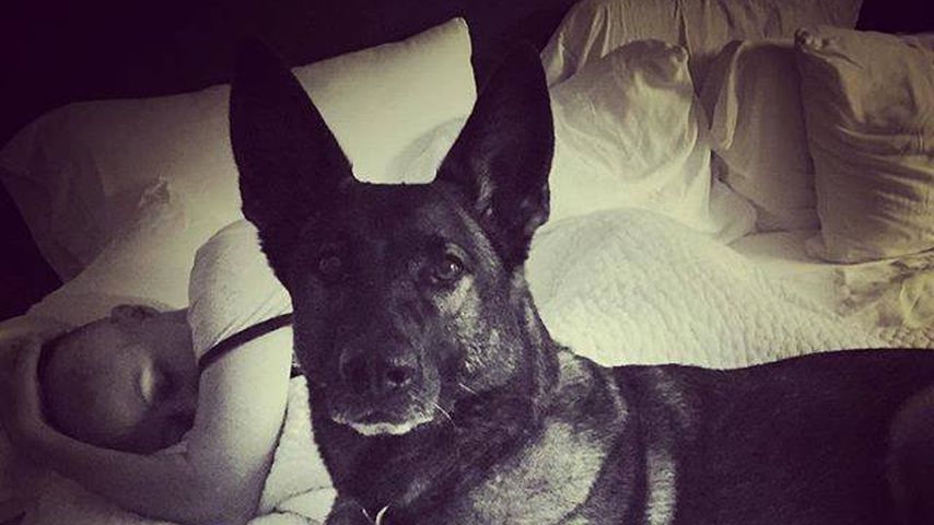 Shannen Doherty mit ihrem Hund