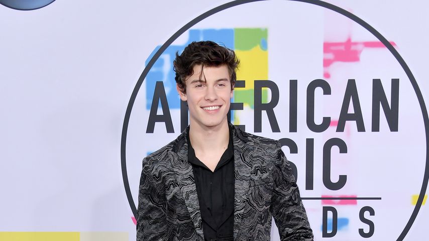 Shawn Mendes bei den American Music Awards 2017