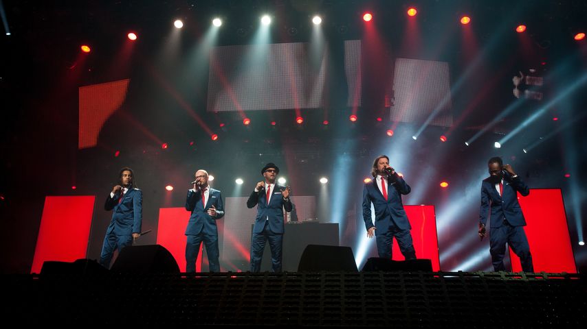 Söhne Mannheims