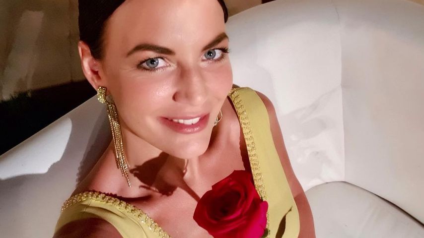 Bachelor Steffi Bachelor Steffi