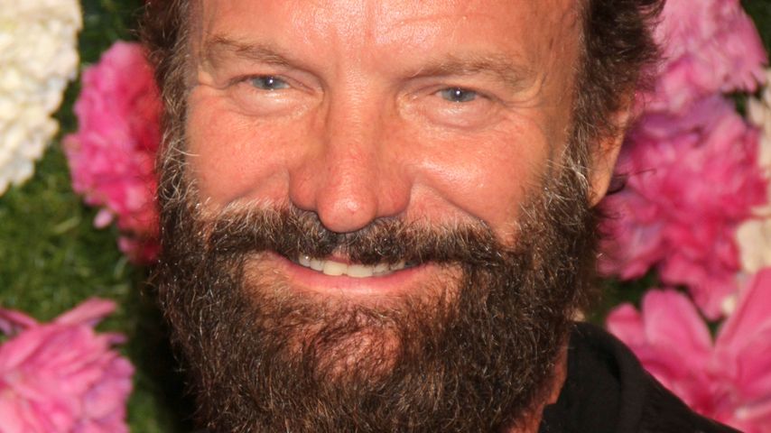 Sting, Britischer Sänger