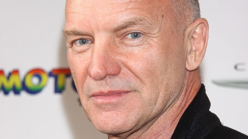 Sting, Sänger