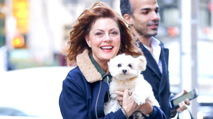 Susan Sarandon bei ihrer Ankunft im SiriusXM Radiostudio in New York. Mit dabei: Ihr Hund!