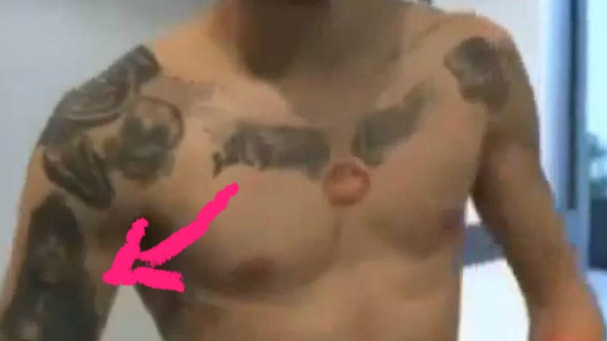 Zayn Malik, Sänger