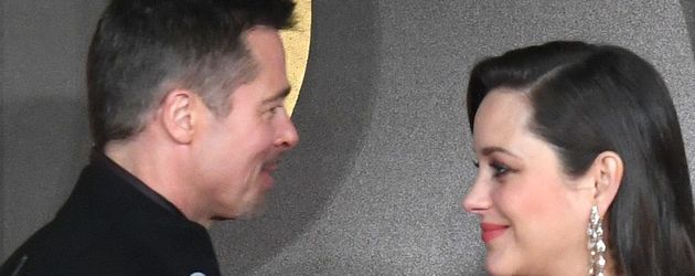 Brad Pitt und Marion Cotillard beim High-Five auf der "Allied"-Premiere in London Brad Pitt und Marion Cotillard beim High-Five auf der "Allied"-Premiere in London