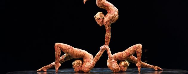 Akrobatinnen des Cirque Du Soleil Akrobatinnen des Cirque Du Soleil