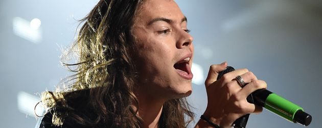 Harry Styles bei einem Konzert Harry Styles bei einem Konzert