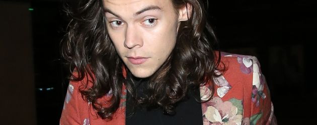 Harry Styles Harry Styles