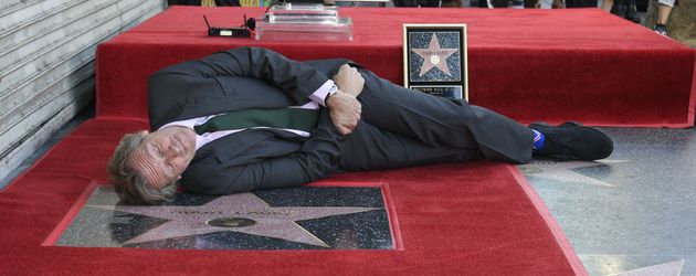 Hugh Laurie, Serienstar Hugh Laurie, Serienstar