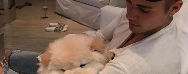 Justin Bieber und sein Hund Todd Justin Bieber und sein Hund Todd