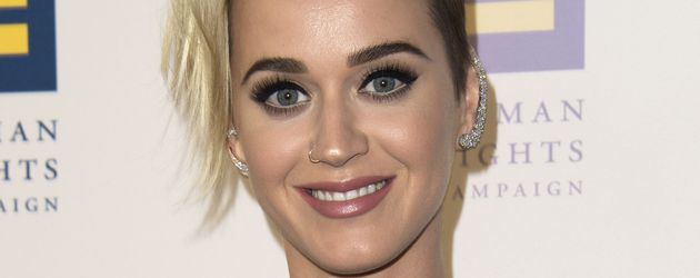 Katy Perry, Sängerin Katy Perry, Sängerin
