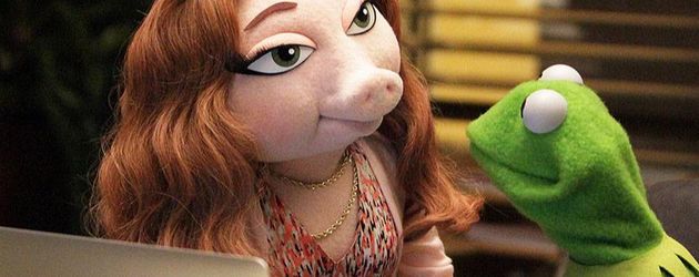 Kermit der Frosch Kermit der Frosch