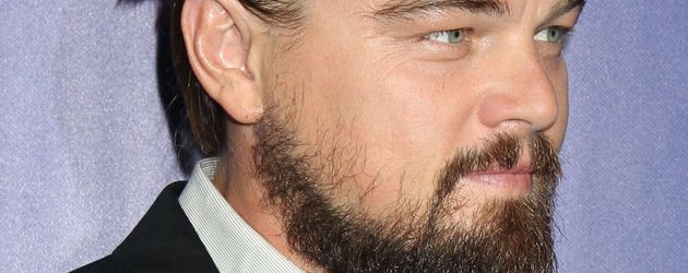 Leonardo DiCaprio auf dem Red Carpet Leonardo DiCaprio auf dem Red Carpet