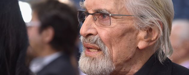 Martin Landau beim Film Festival in Toronto 2015 Martin Landau beim Film Festival in Toronto 2015