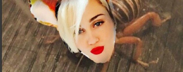 Miley Cyrus Miley Cyrus
