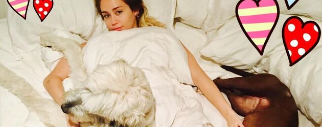 Miley Cyrus, Sängerin und Schauspierlein Miley Cyrus, Sängerin und Schauspierlein