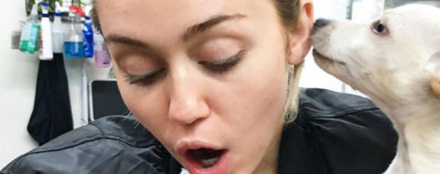 Miley Cyrus Miley Cyrus