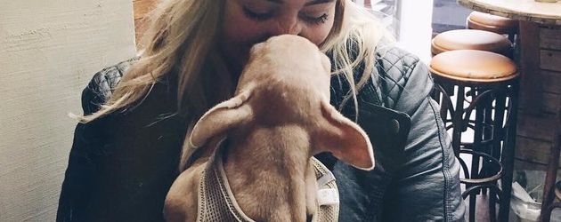 Dagi Bees Managerin Ramona Mour mit ihrem Hund Kenzo Dagi Bees Managerin Ramona Mour mit ihrem Hund Kenzo