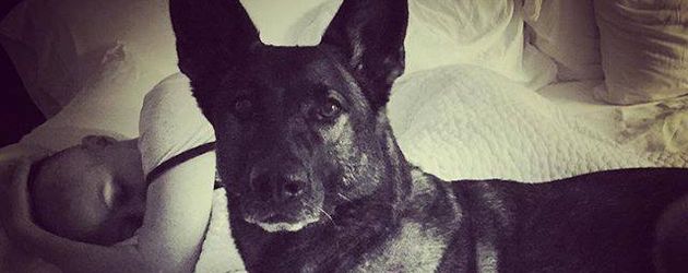 Shannen Doherty mit ihrem Hund Shannen Doherty mit ihrem Hund
