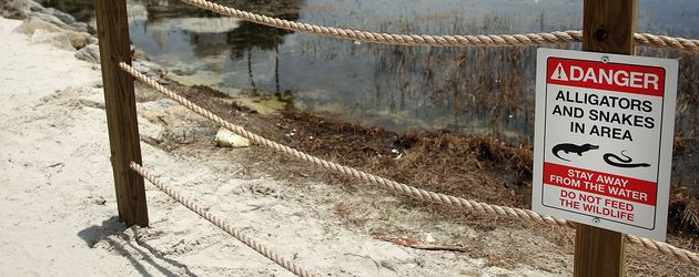 Strandabschnitt im Disney-Resort, an dem die Alligatorattacke geschah Strandabschnitt im Disney-Resort, an dem die Alligatorattacke geschah