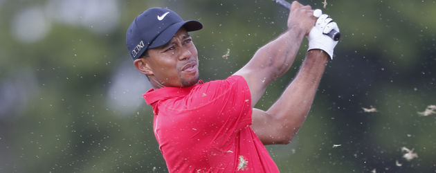 Tiger Woods, Profigolfer Tiger Woods, Profigolfer