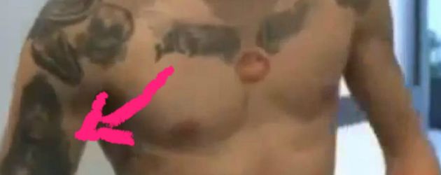 Zayn Malik, Sänger Zayn Malik, Sänger